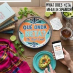 what does neta mean in spanish