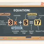 what does constant mean in math