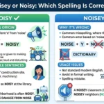 noisey or noisy
